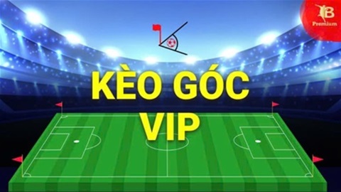  Nhận định góc VIP Bristol City vs Sheffield Utd, 02h00 ngày 9/5